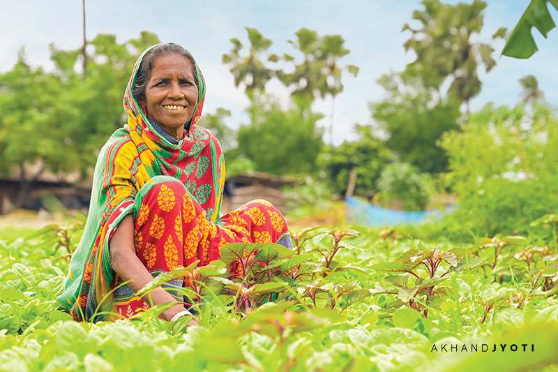 Munakiya farming in her fields