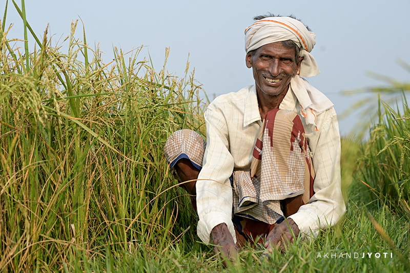 Dhamnath in his farm